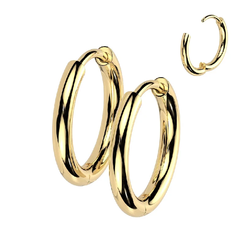 Sapphire stud earrings-Titanium Gold Hinged Hoop Earrings (1 pair) - TI-197A