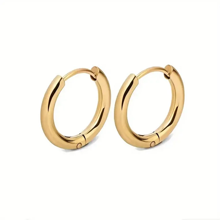 Drop crystal earrings-Gold Hinge Hoop Earrings (1 pair) - ER10A